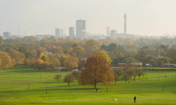 Primrose Hill Café in The Regent's Park & Primrose Hill